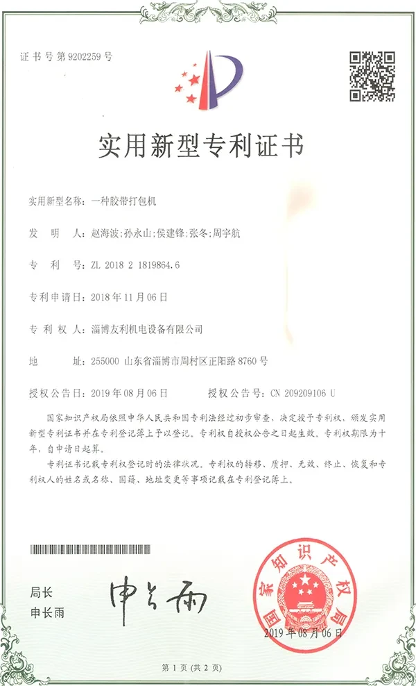 China YouLi EPS Packing Machine Patent_